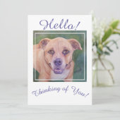 常考えるに黄金犬 シーズンカード (スタンド正面)