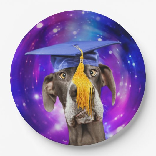 帽子おもしろいをかぶった卒業犬 ペーパープレート (正面)
