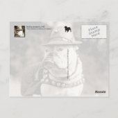 帽子とケープを被ってパトロール中のブルドッグ ポストカード (裏面)