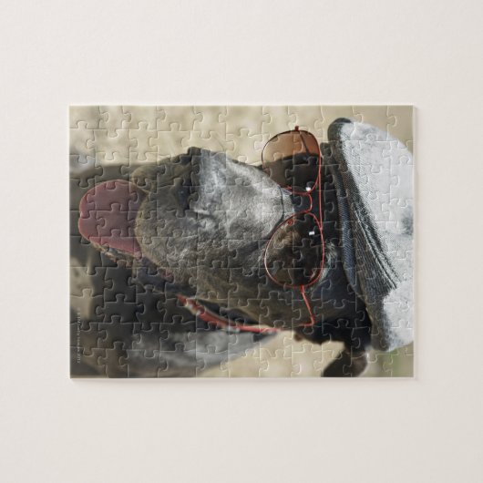 帽子とサングラスを着たグレート・ダン ジグソーパズル (横)