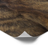 帽子と眼鏡を付けたボクサー犬 ポスター (角)