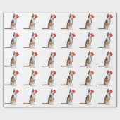 帽子に猫を被よくはしゃぐせクリスマスを祝う ラッピングペーパー (フラット)