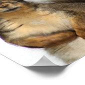 帽子のグラフィックアートを持つリス ポスター (角)