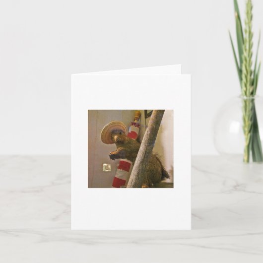 帽子のメッセージカードの剥製術のリス カード (正面)