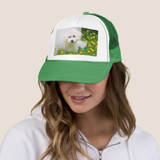 帽子の写真 キャップ (インサイチュ)