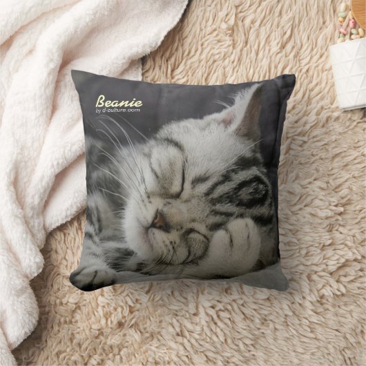 帽子の枕 クッション (ブランケット)