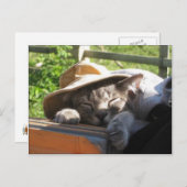 帽子はがきに入った猫 ポストカード (正面/裏面)