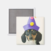 帽子をかぶったおもしろい犬 マグネット (正面/裏面)