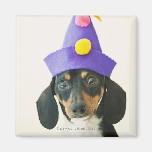 帽子をかぶったおもしろい犬 マグネット (正面)
