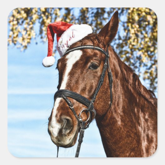 帽子をかぶったクリスマスホース スクエアシール (正面)