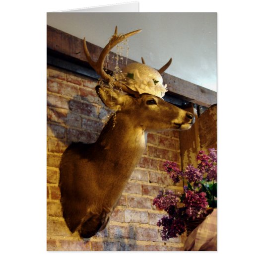 帽子をかぶったバック (正面)