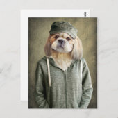 帽子をかぶった愛らしいシーズー（犬）ズとフード付きスウェットシャツ ポストカード (正面/裏面)