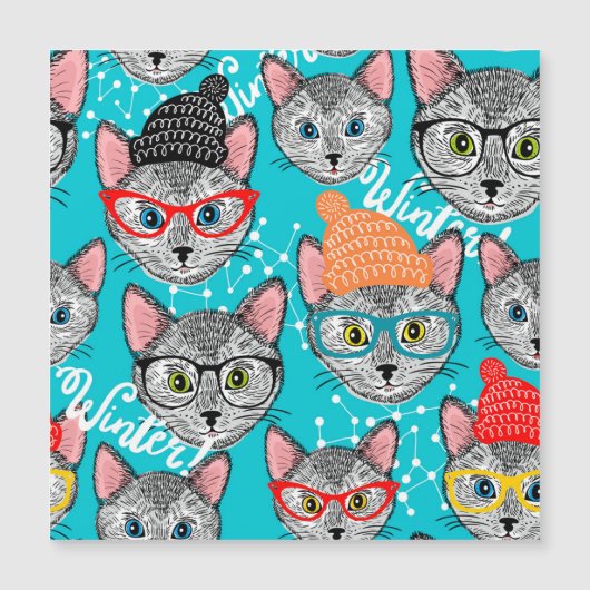 帽子をかぶった猫 (正面)