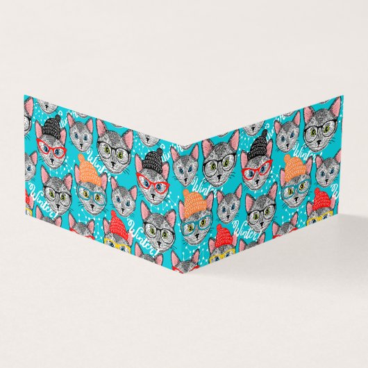 帽子をかぶった猫 (外部)