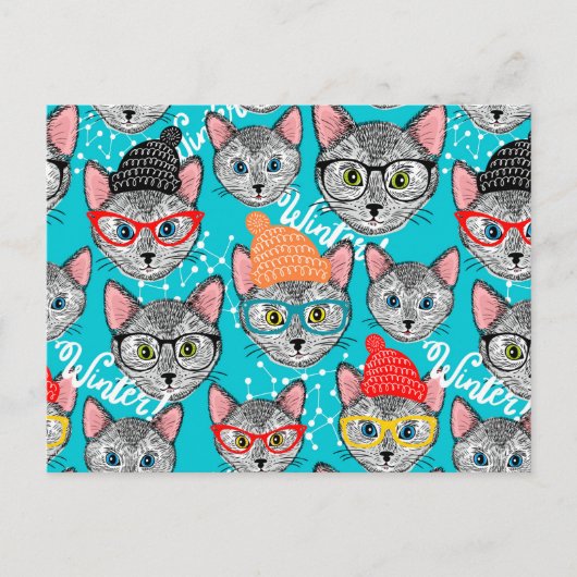 帽子をかぶった猫 ポストカード (正面)