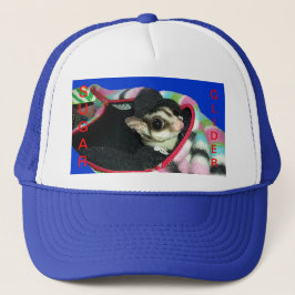 帽子をかぶった砂糖滑空機 キャップ