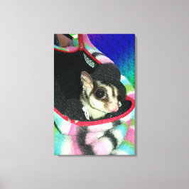 帽子をかぶった砂糖滑空機 キャンバスプリント