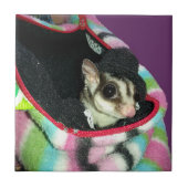 帽子をかぶった砂糖滑空機 タイル (正面)