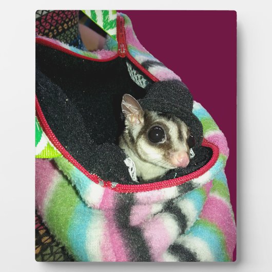 帽子をかぶった砂糖滑空機 フォトプラーク (正面)