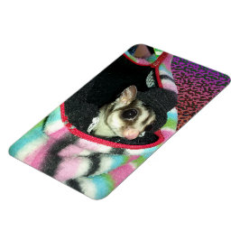 帽子をかぶった砂糖滑空機 マグネット