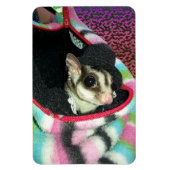 帽子をかぶった砂糖滑空機 マグネット (縦)