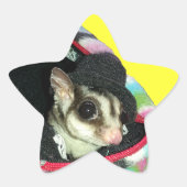 帽子をかぶった砂糖滑空機 星シール (正面)