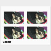 帽子をかぶった砂糖滑空機 長方形シール (シート)