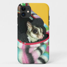 帽子をかぶった砂糖滑空機