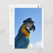 帽子をかぶった美しいオウム ポストカード (正面/裏面)
