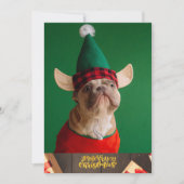 帽子フランスのかわいい犬のクリスマス付きブルドッグ シーズンカード (正面)