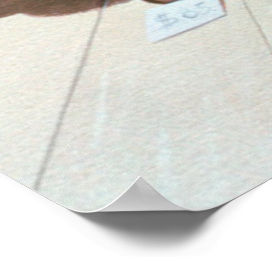 帽子屋1990 ポスター (角)