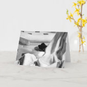 帽子祭壇 カード (黄色い花)