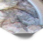 幅広のスキー ポスター (角)