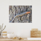 幅広のスキー ポスター (キッチン)