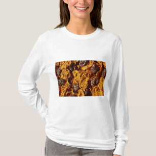 干しぶどうおよびぬかの穀物の写真 Tシャツ