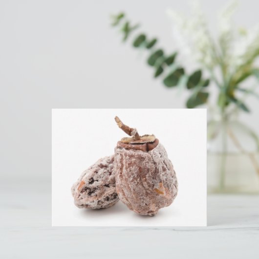 干し柿 ポストカード (スタンド正面)