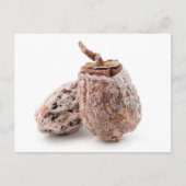 干し柿 ポストカード (正面)