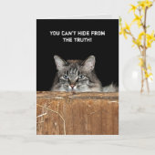 干し草のロフトの誕生日に納屋の猫 カード (黄色い花)