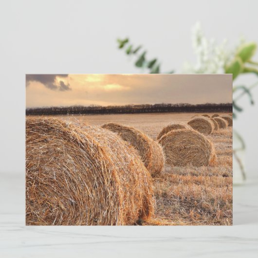 干し草のロール 招待状 (スタンド正面)