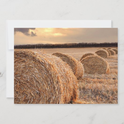 干し草のロール 招待状 (正面)