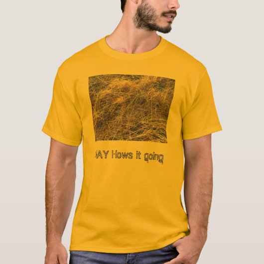 干し草のワイシャツ Tシャツ (正面)