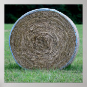 干し草の一俵 ポスター (正面)