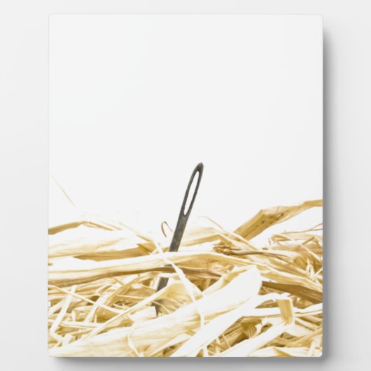 干し草の中の針 フォトプラーク (正面)