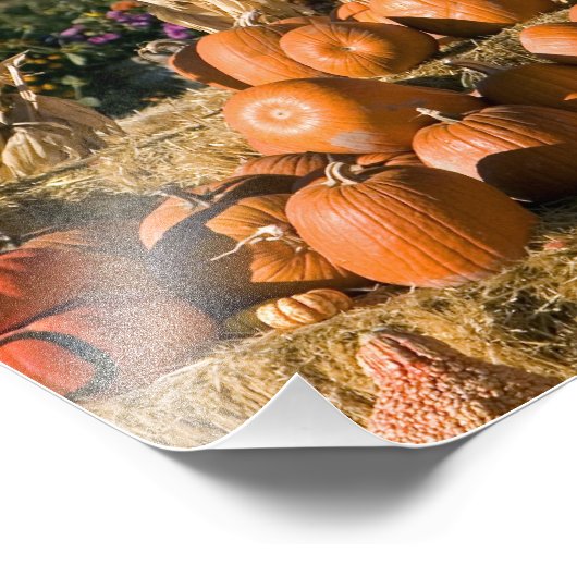 干し草の俵とかかしのあるカボチャの表示 フォトプリント            (角)