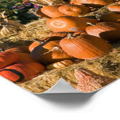 干し草の俵とかかしのあるカボチャの表示 ポスター (角)