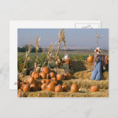 干し草の俵とかかしのあるカボチャの表示 ポストカード (正面/裏面)