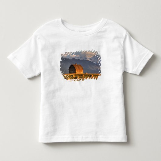 干し草の俵に囲まれ、ドラマチックな古い納屋 トドラーTシャツ (正面)