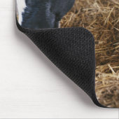 干し草の牛と子牛 マウスパッド (コーナー)