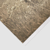 干し草の畑でハイランド牛を切り離す 薄葉紙 (詳細)