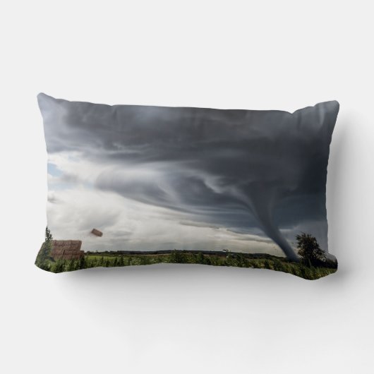 干し草の葉を持ち上げるストームトルネード ランバークッション (裏面)